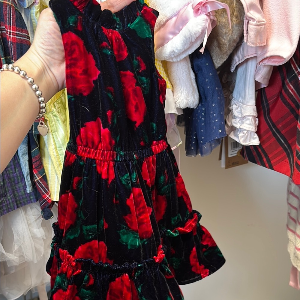 COPY - Navy and Red Floral Velvet Dress Janie and jack